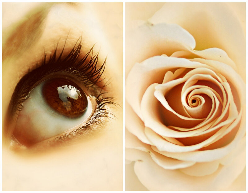 Close-up of an Eye — Beige