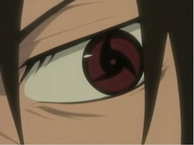Close-up of an Eye — Brown, Intense