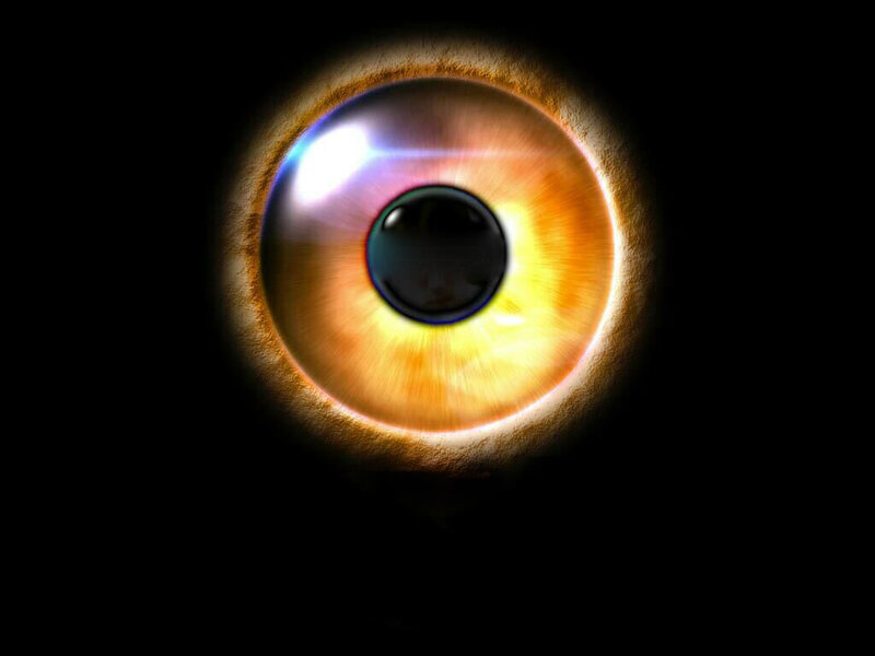 Close-up of an Eye — Brown