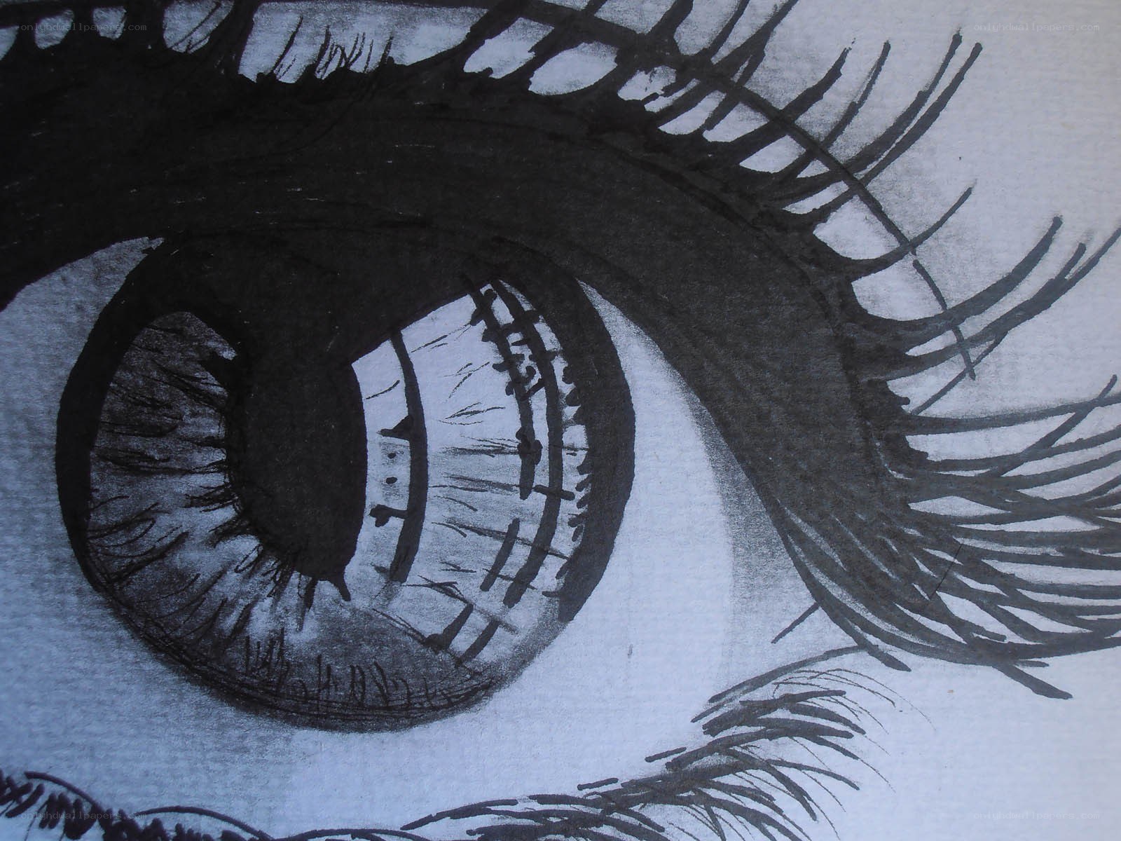 close-up of an eye drawing