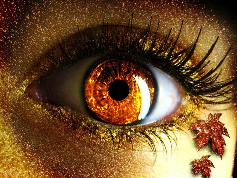 Close-up of an Eye — Gold, Dramatic, Autumn