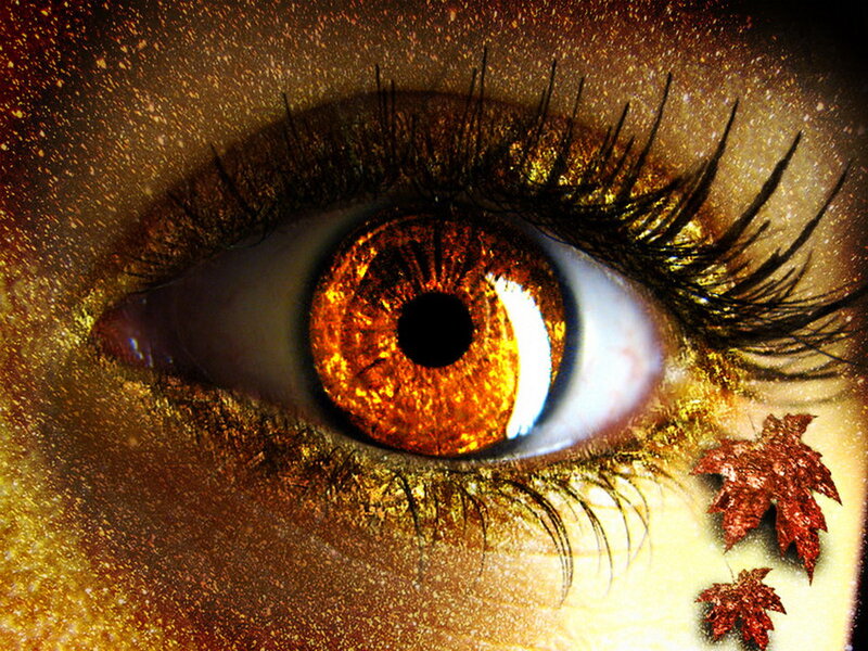 Close-up of an Eye — Gold, Dramatic
