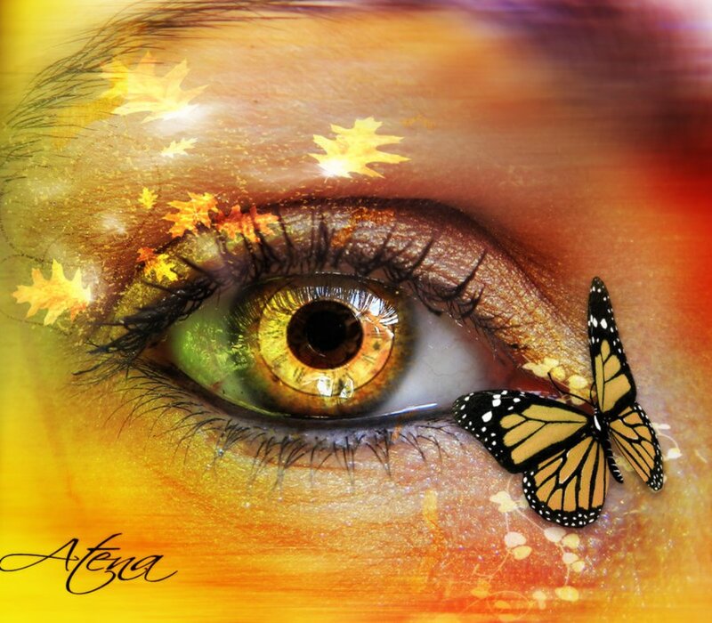 Close-up of an Eye — Yellow