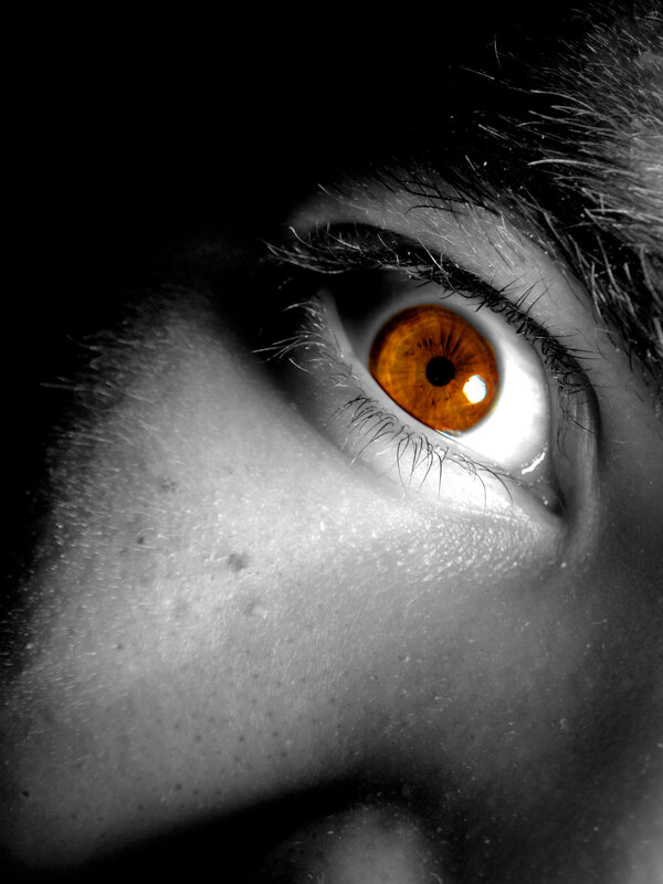 close-up of an orange eye