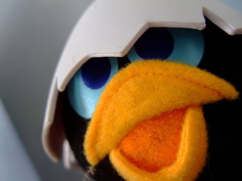 close-up of angry bird toy