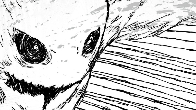 close-up of animal eyes