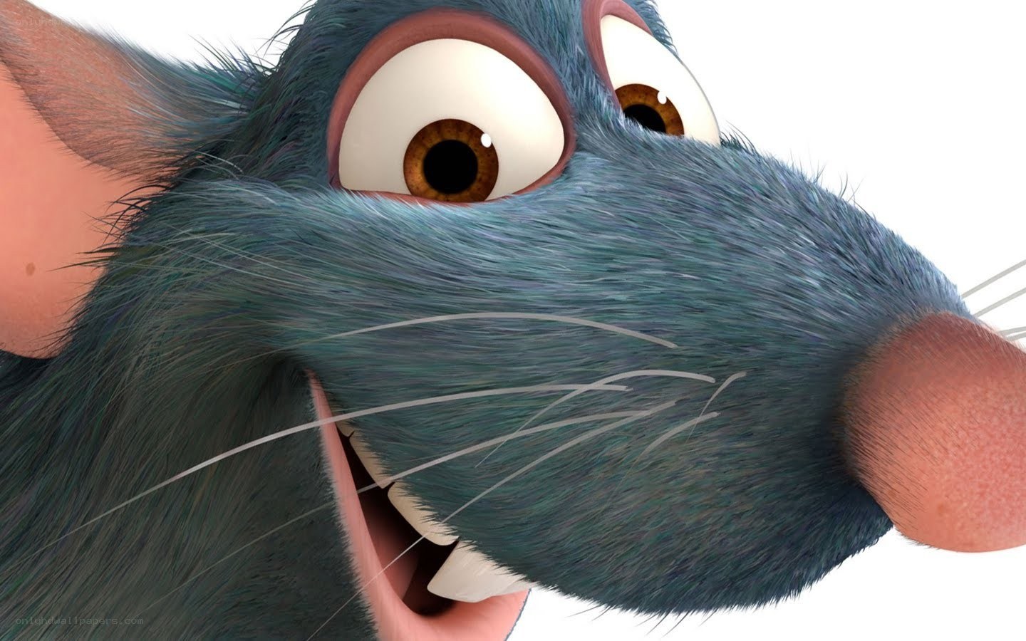 close-up of animated rat