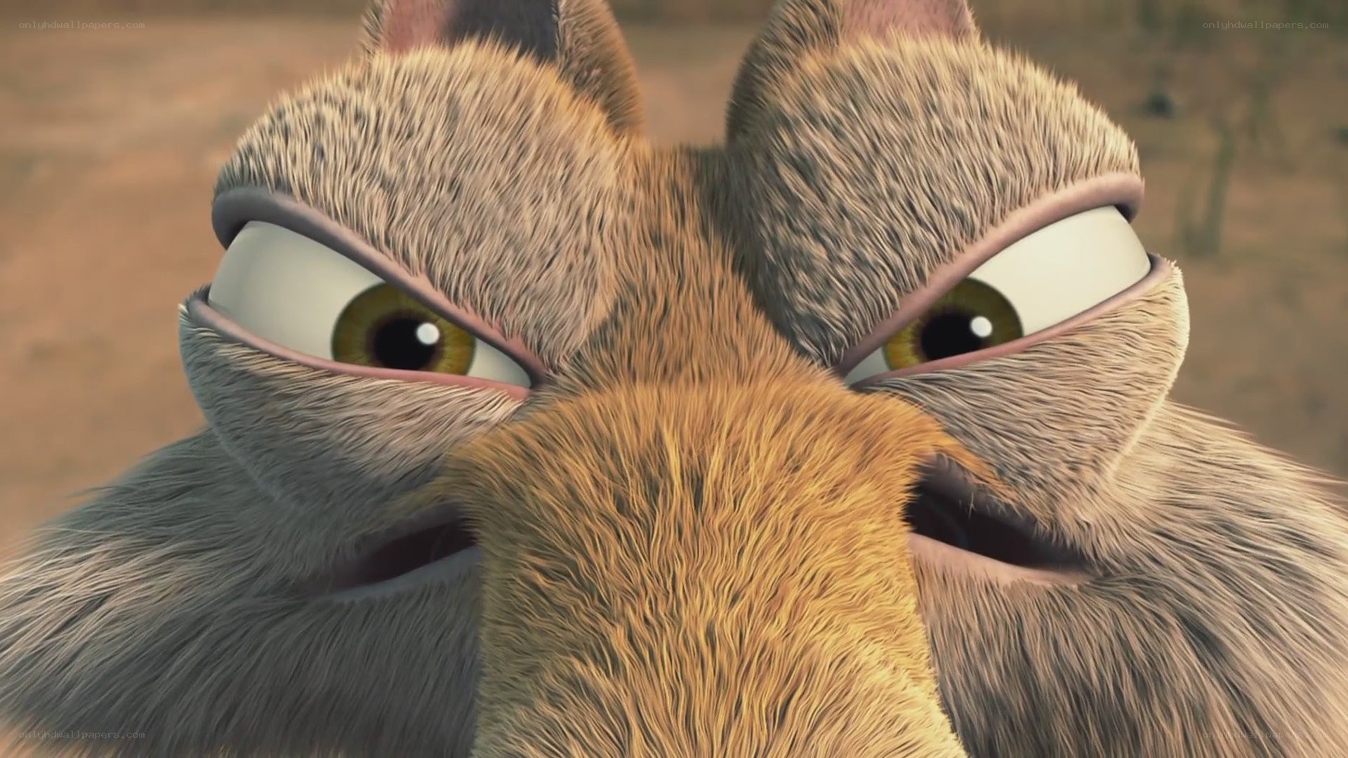 close-up of animated squirrel