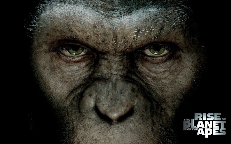 Close-up of Ape Face