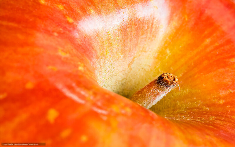 Close-up of apple core