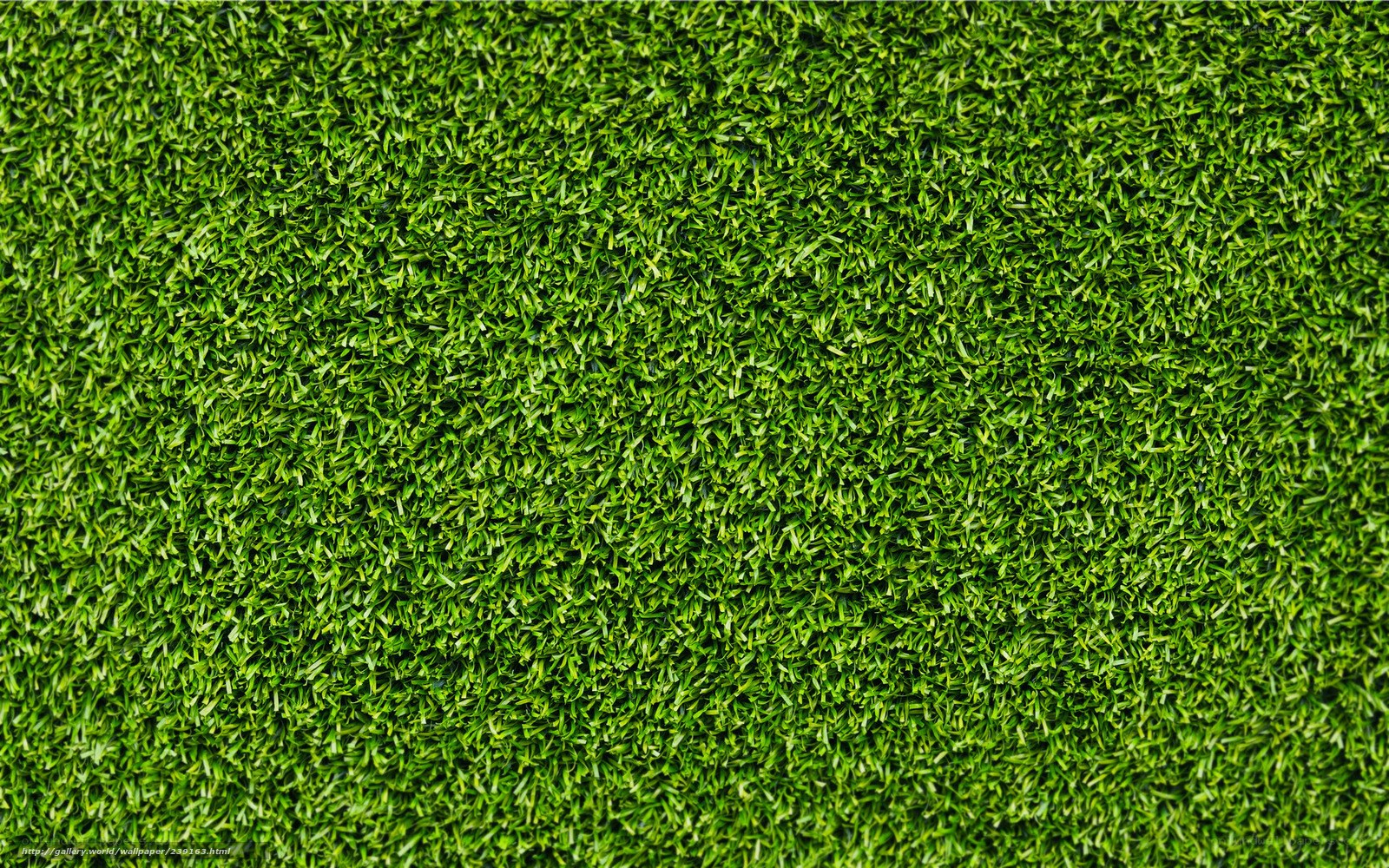 close-up of artificial grass