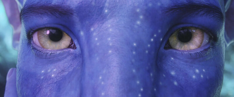 close-up of avatar eyes