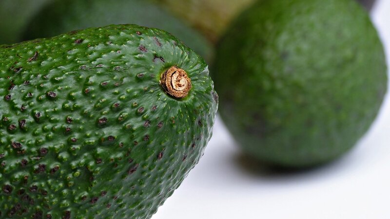 Close-up of Avocados — Green