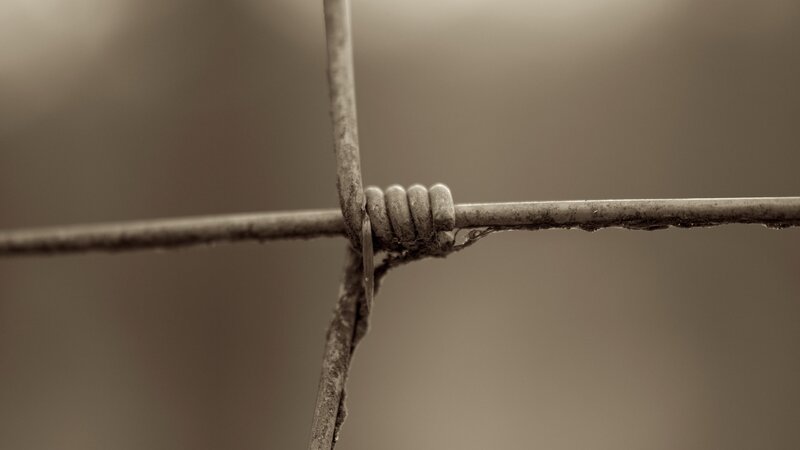 close-up of barbed wire knot
