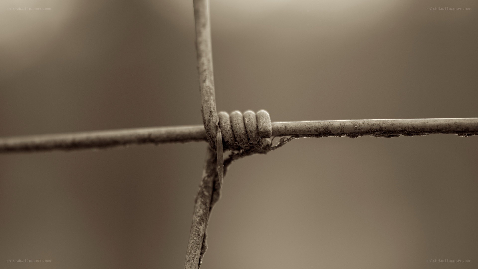 close-up of barbed wire knot