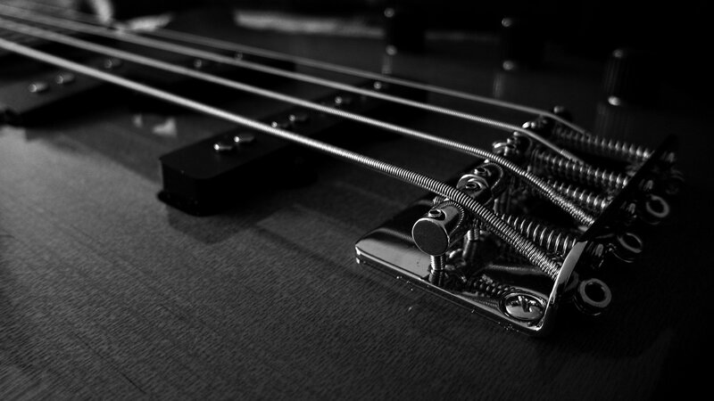 close-up of bass guitar strings