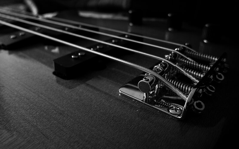 close-up of bass guitar strings