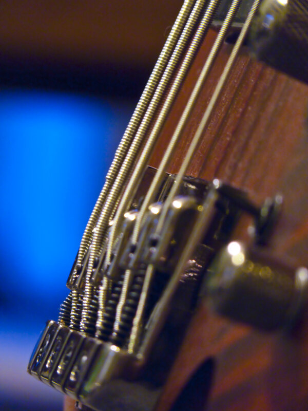 close-up of bass guitar strings