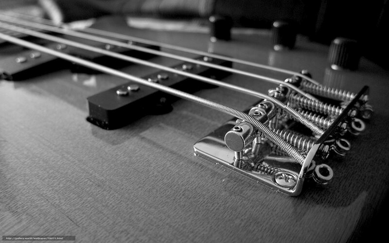 close-up of bass guitar strings
