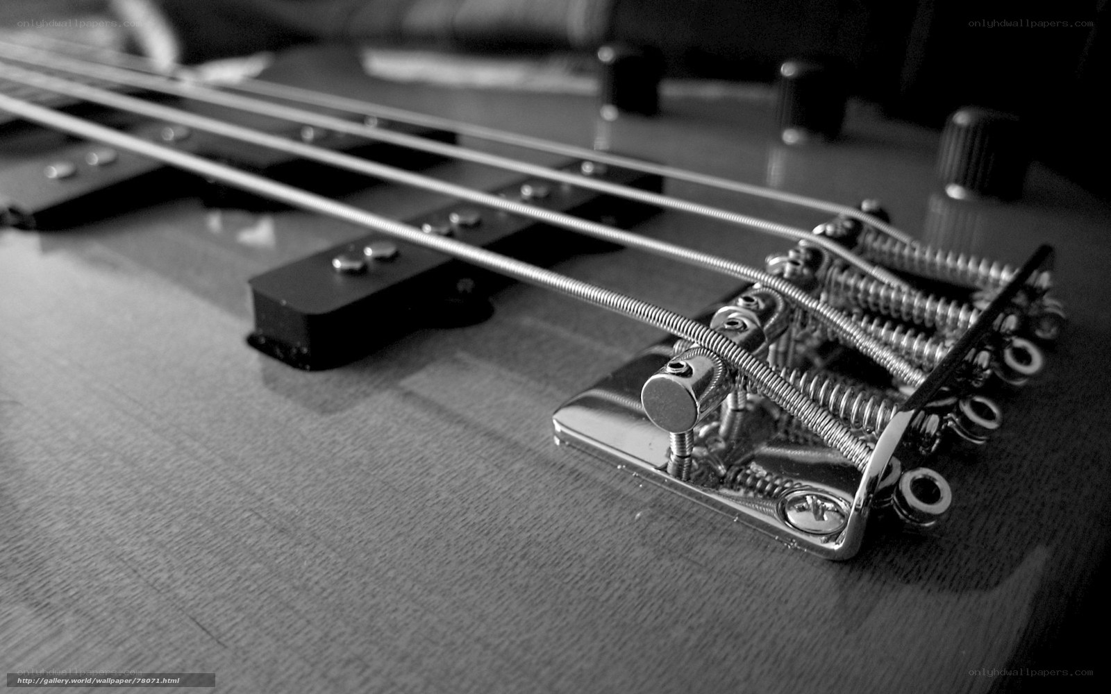 close-up of bass guitar strings