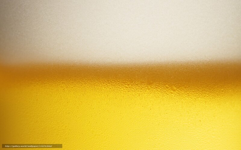 close-up of beer foam