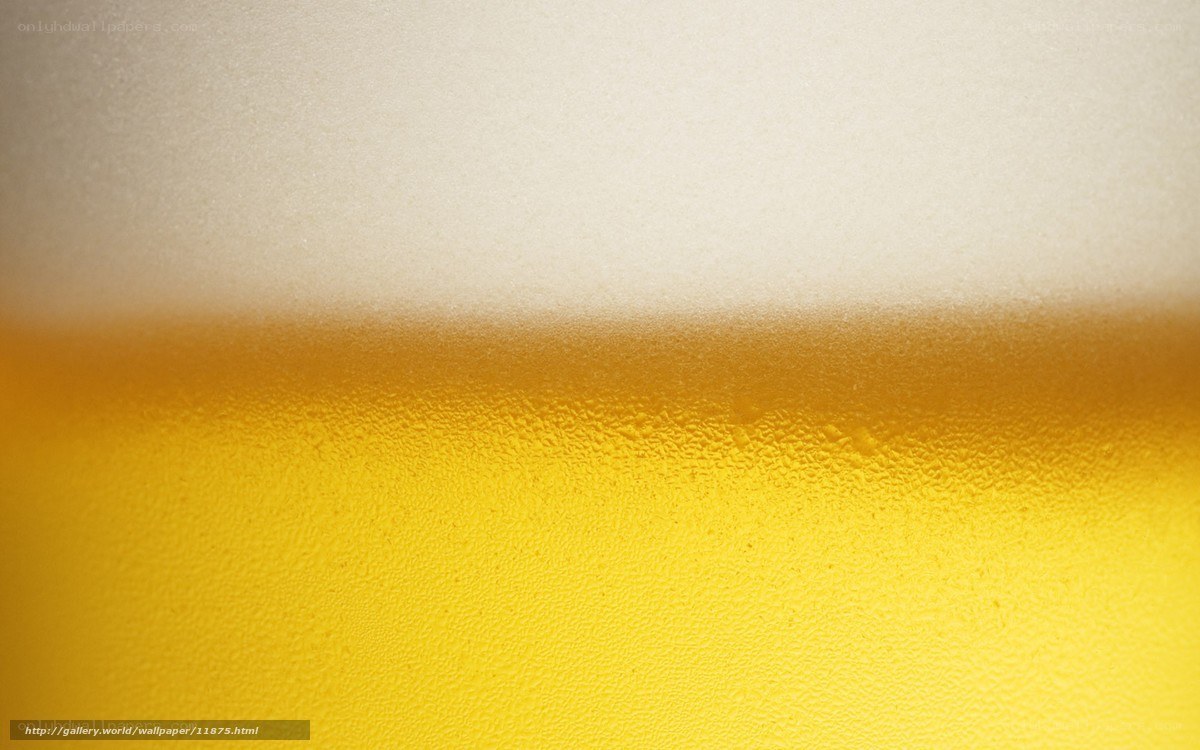 close-up of beer foam