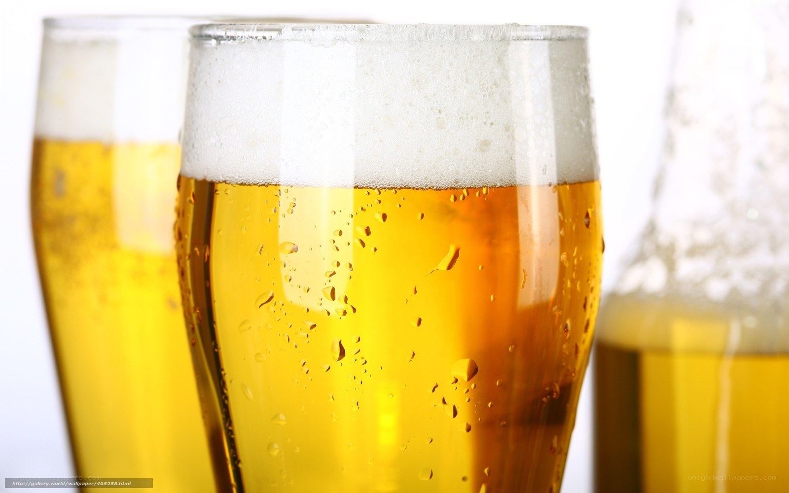 Close-up of beer glasses