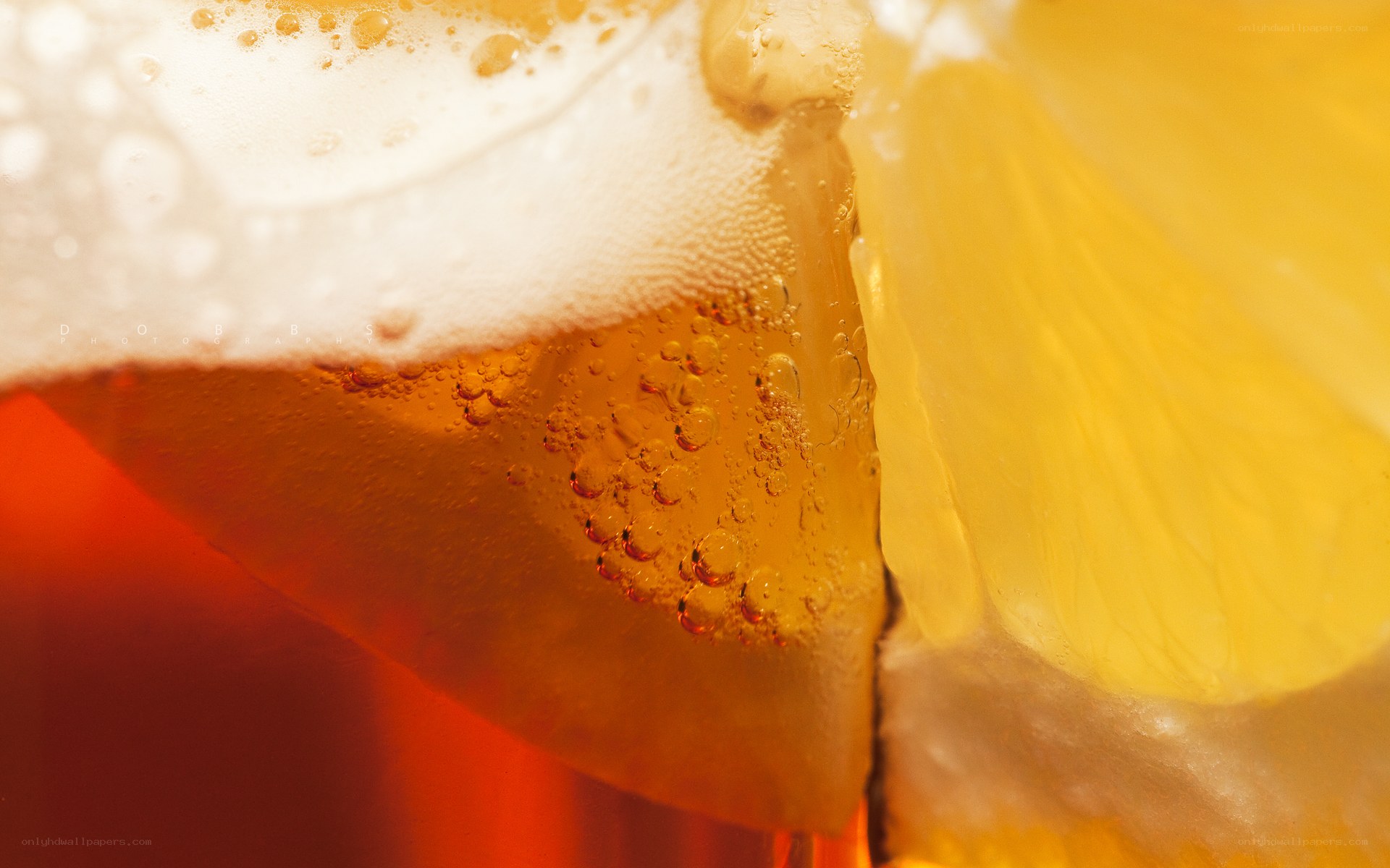 Close-up of beer with lemon