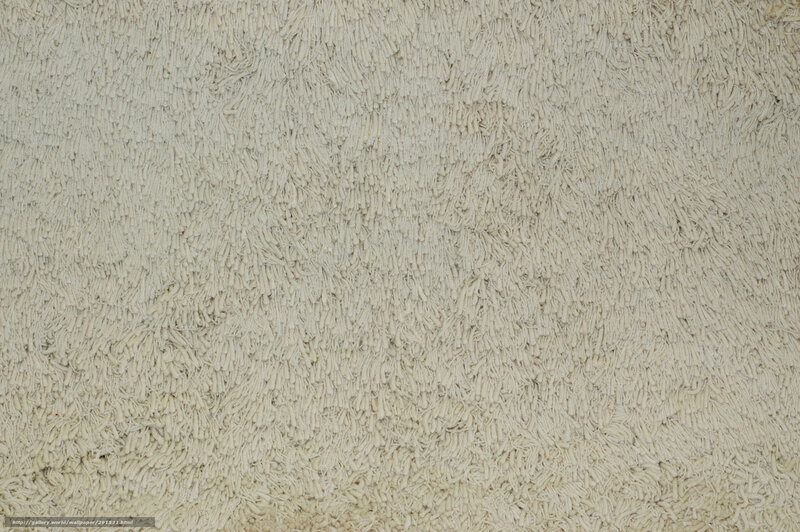 Close-up of Beige Carpet — Neutral
