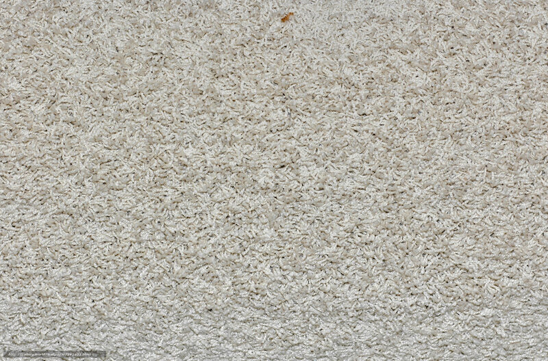 close-up of beige carpet texture