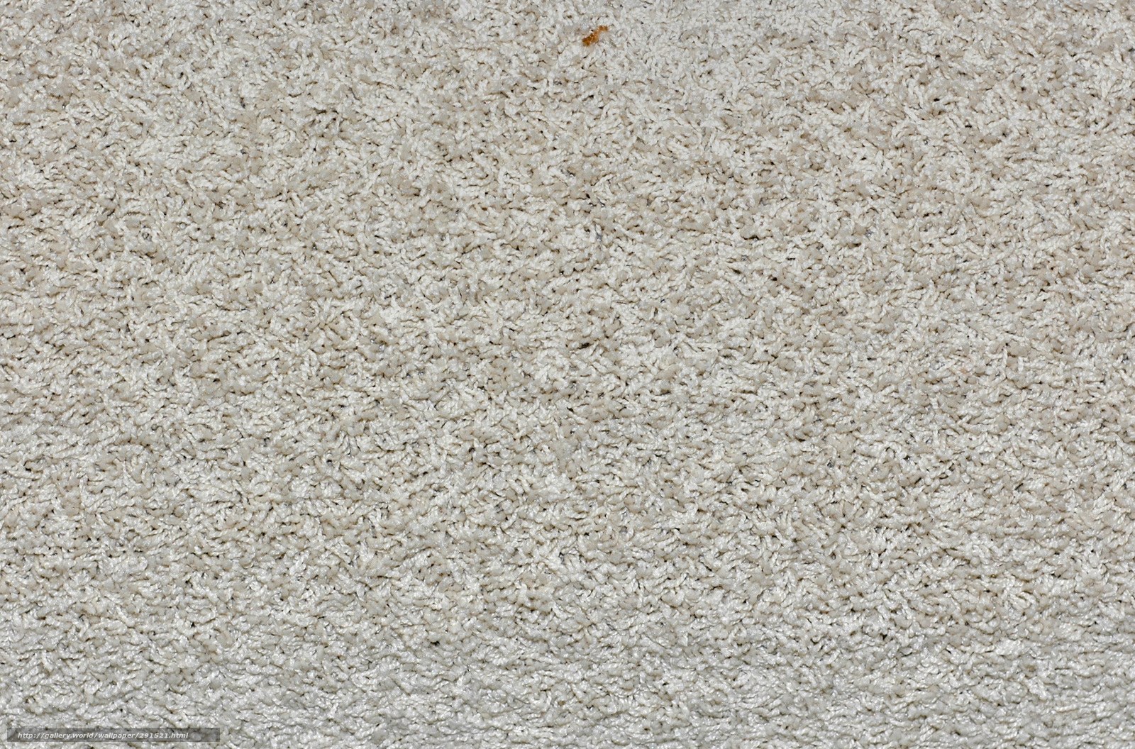 close-up of beige carpet texture