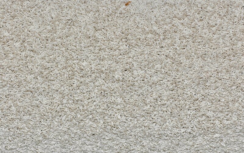 close-up of beige carpet
