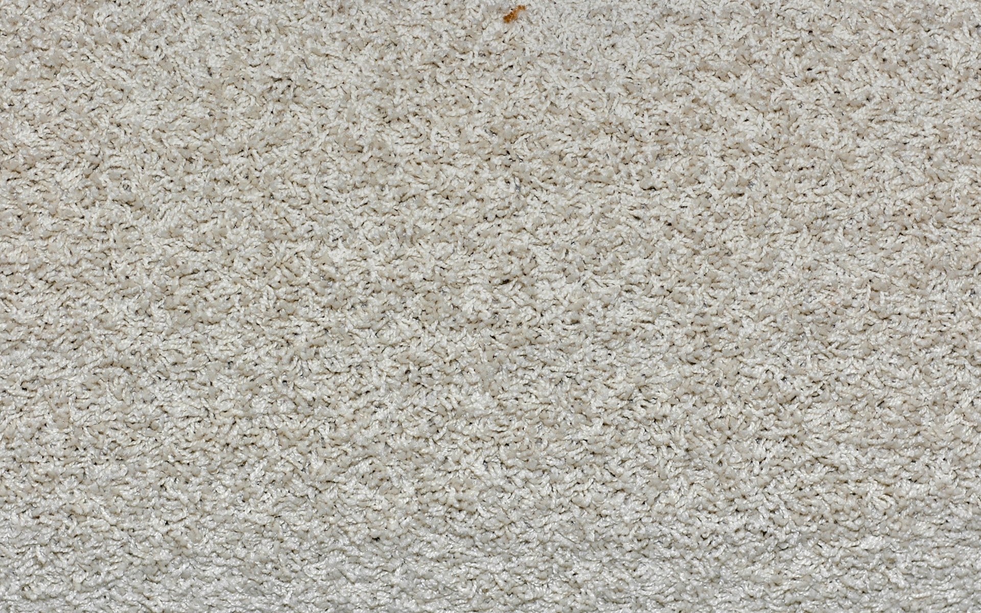 close-up of beige carpet