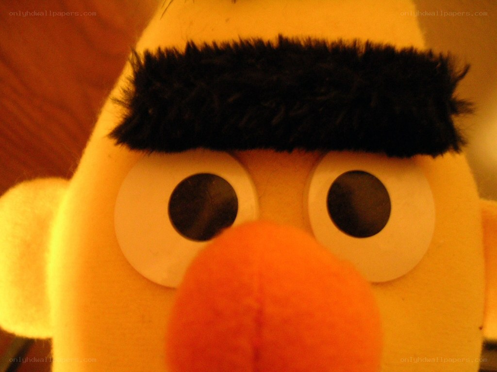 close-up of bert puppet