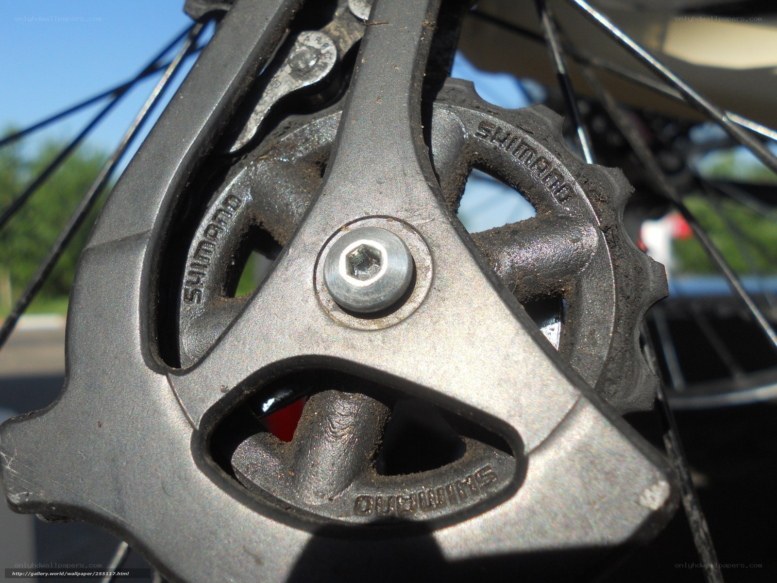 close-up of bicycle derailleur