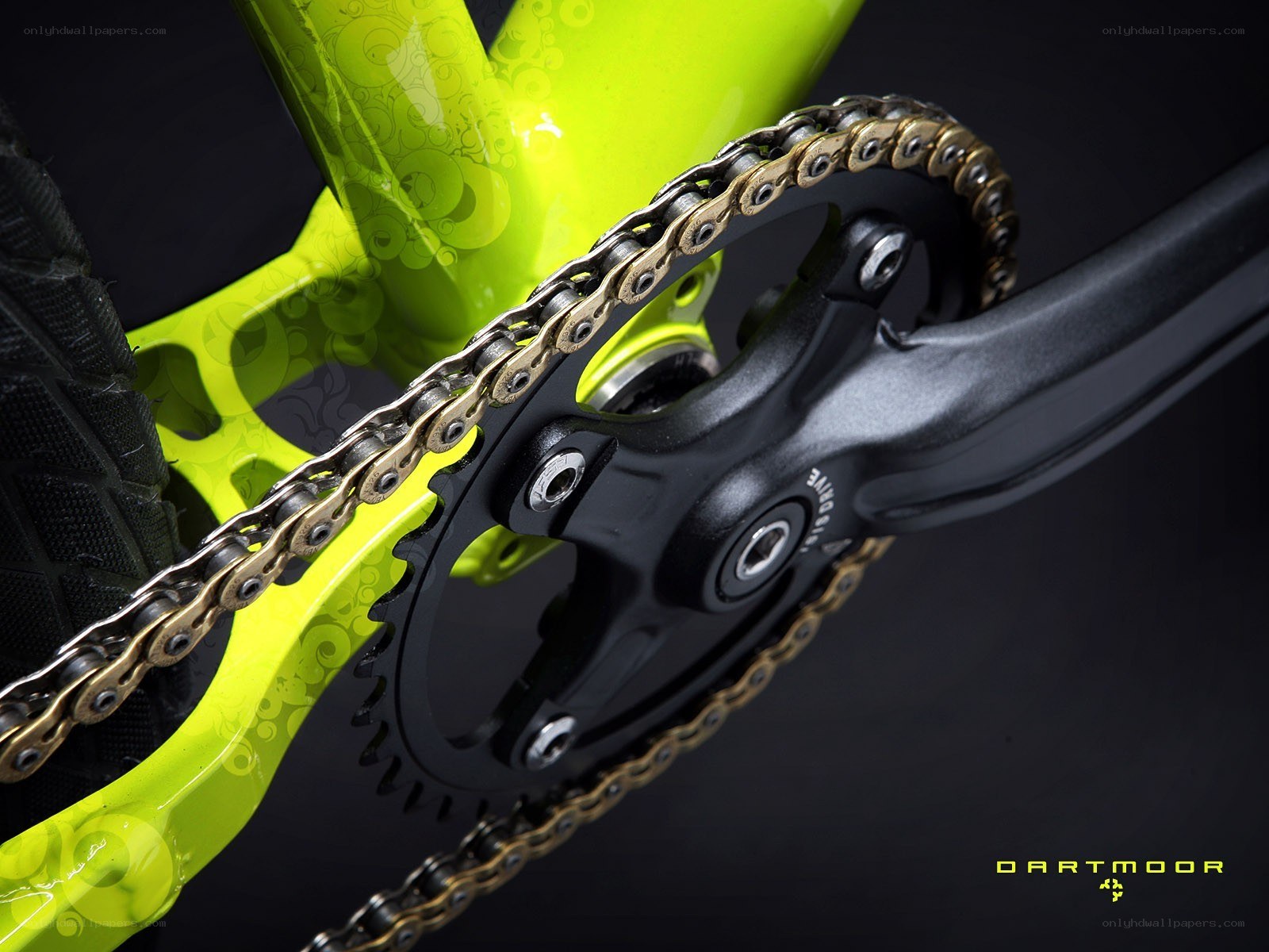 close-up of bicycle drivetrain