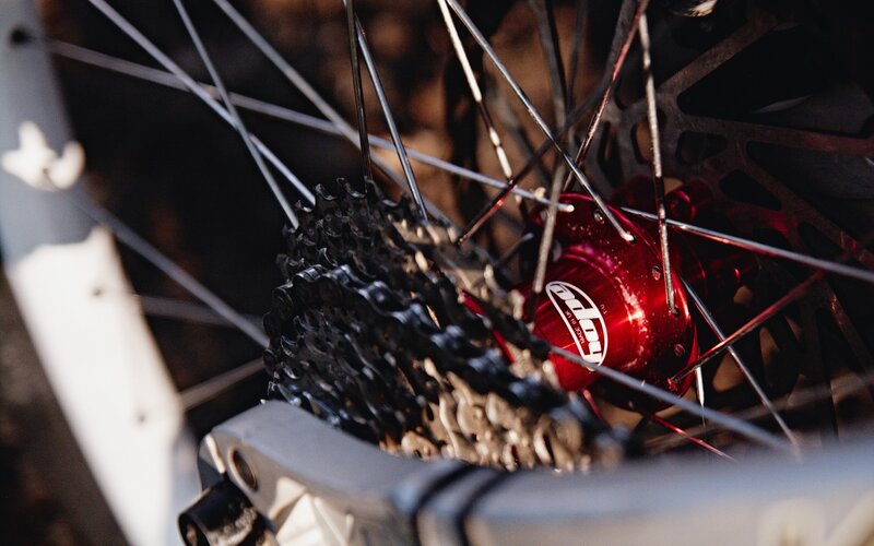 close-up of bicycle rear wheel