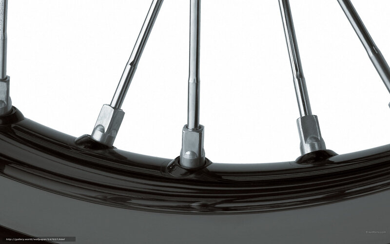 close-up of bicycle wheel
