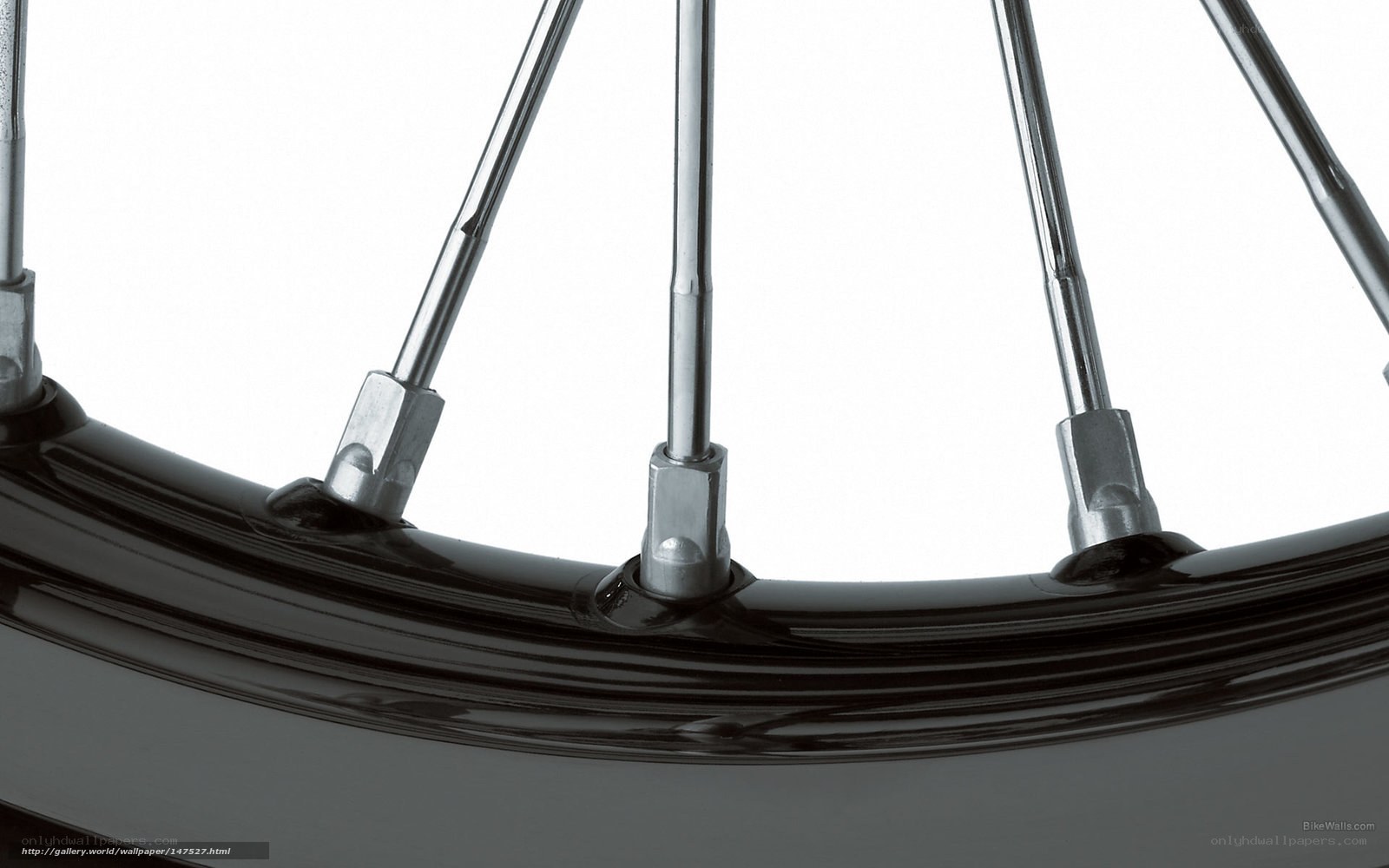 close-up of bicycle wheel