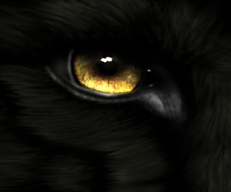 Close-up of Black Cat Eye — Dramatic, Digital Art