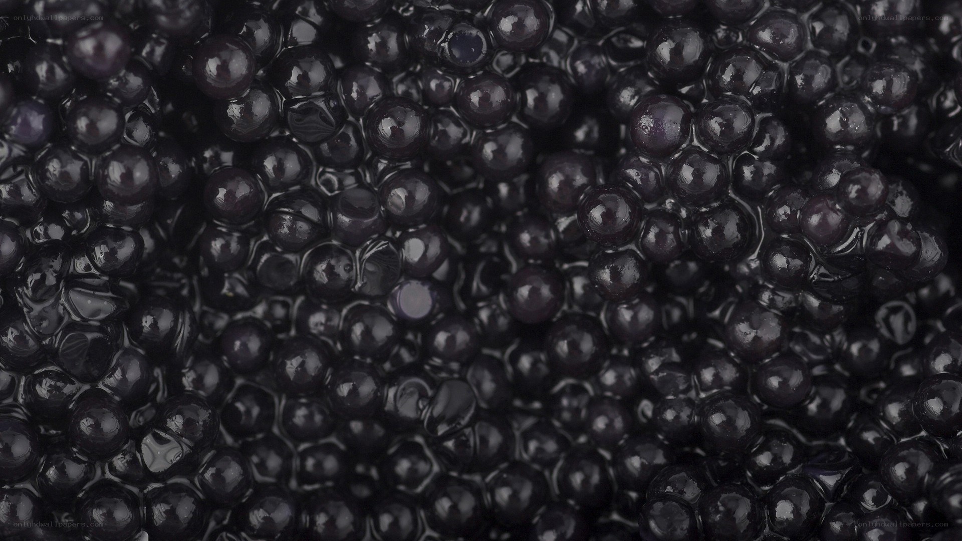 close-up of black caviar