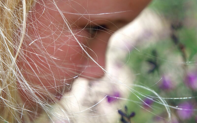 close-up of blonde hair