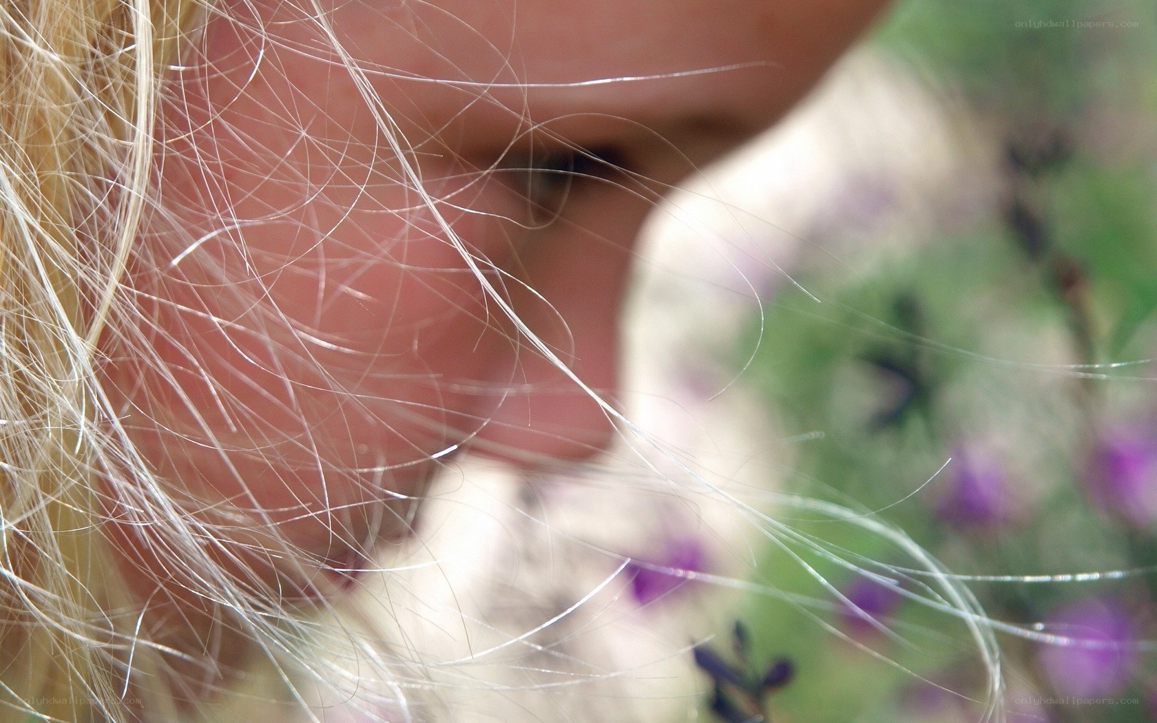 close-up of blonde hair