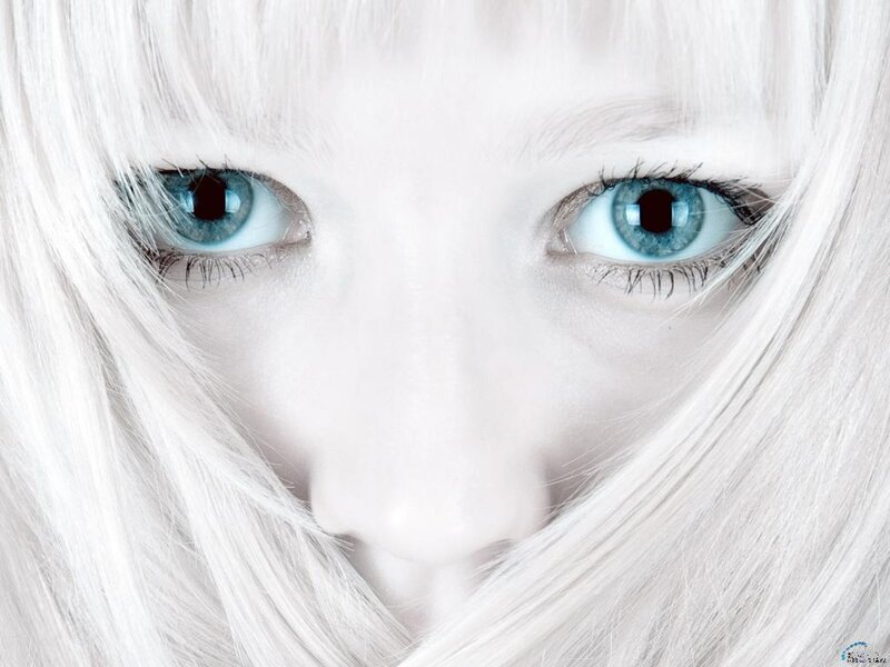 Close-up of Blue Eyes — White