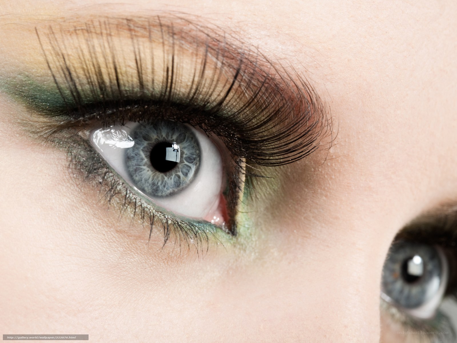 close-up of blue eyes