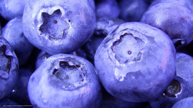 Close-up of blueberries