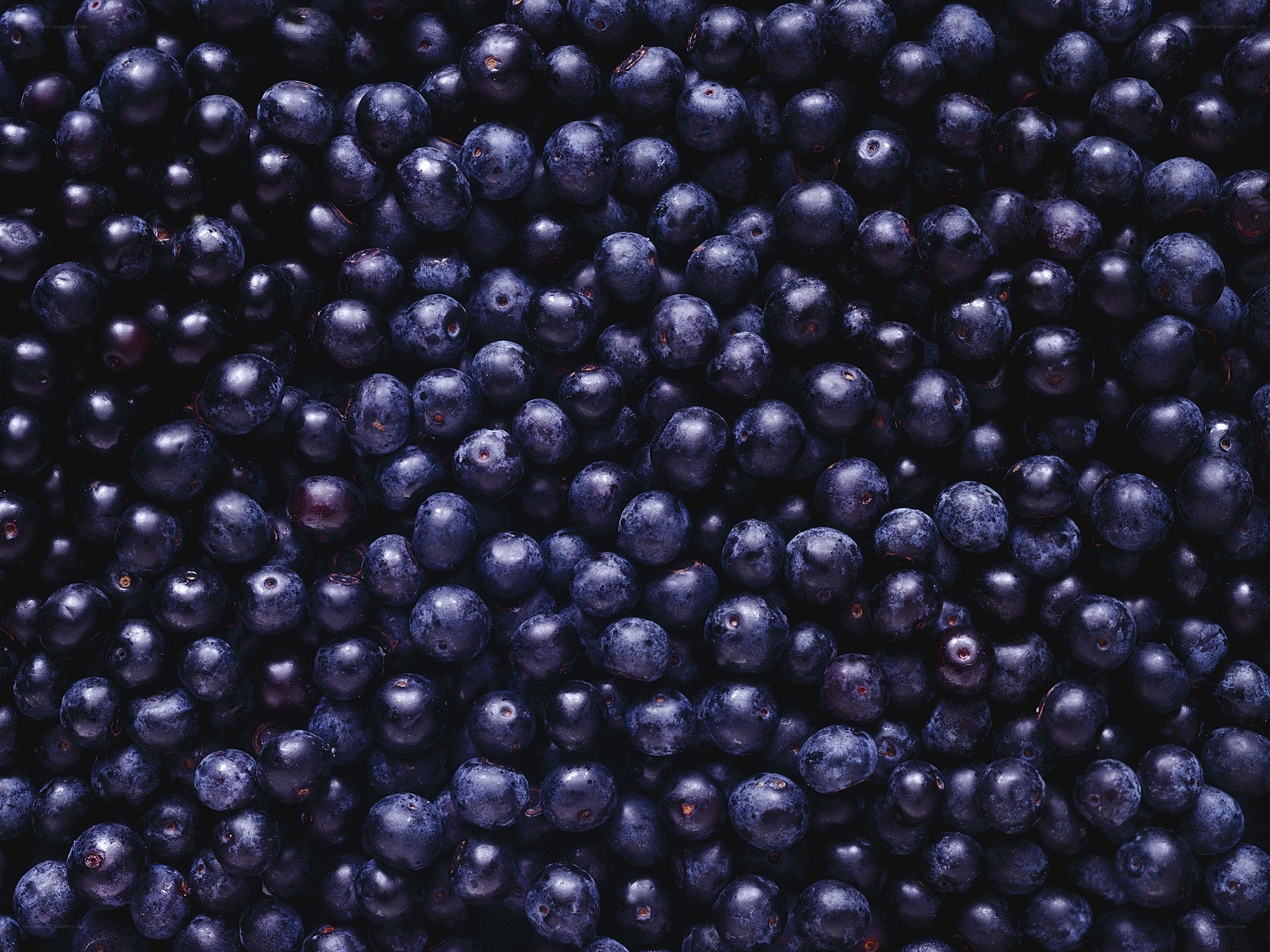 Close-up of blueberries
