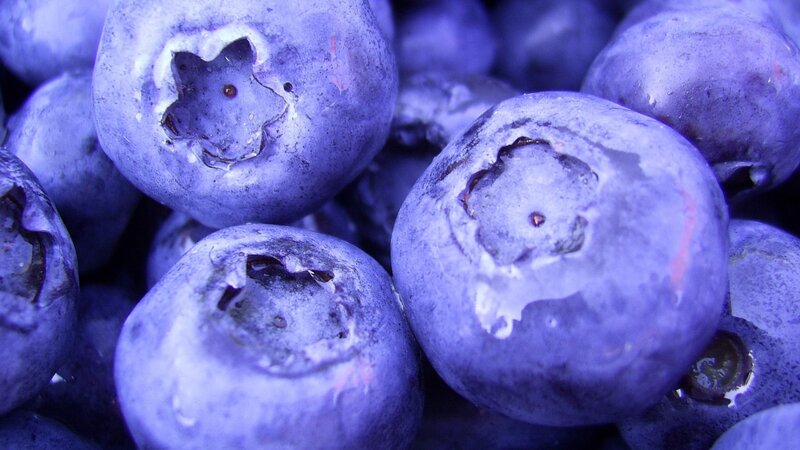 Close-up of blueberries