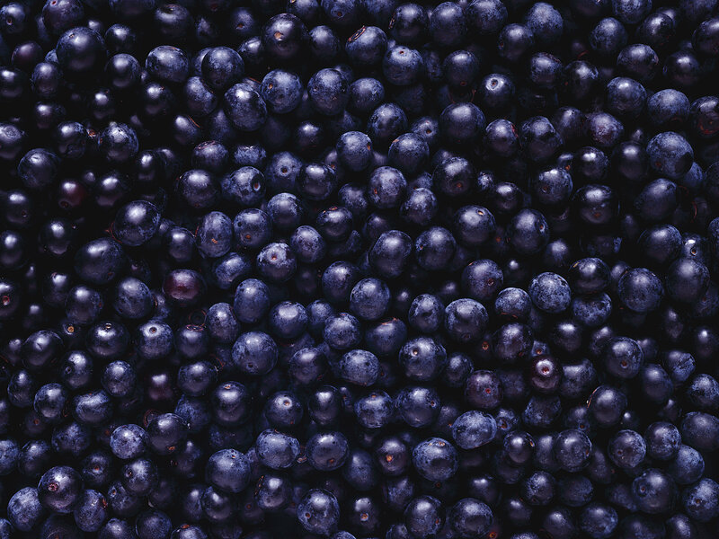 Close-up of blueberries