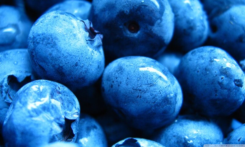 Close-up of Blueberries — Blue, Cool